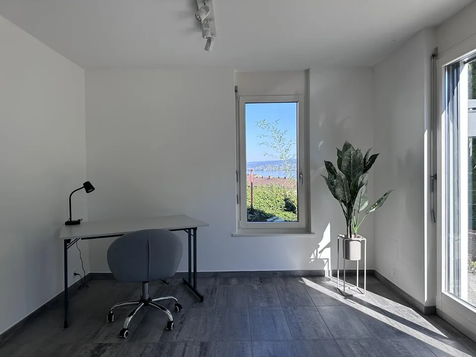 Beautiful Furnished Private Apartment in Thalwil (limited till 31.12.2027) – Foto 10 von 23