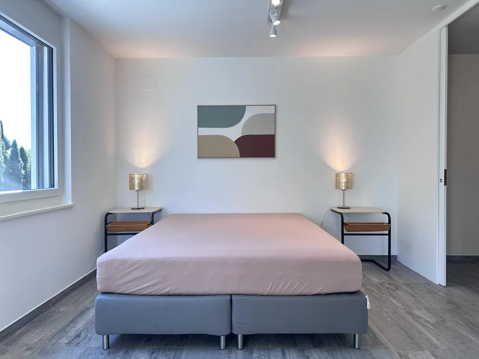 Beautiful Furnished Private Apartment in Thalwil (limited till 31.12.2027) – Foto 7 von 23