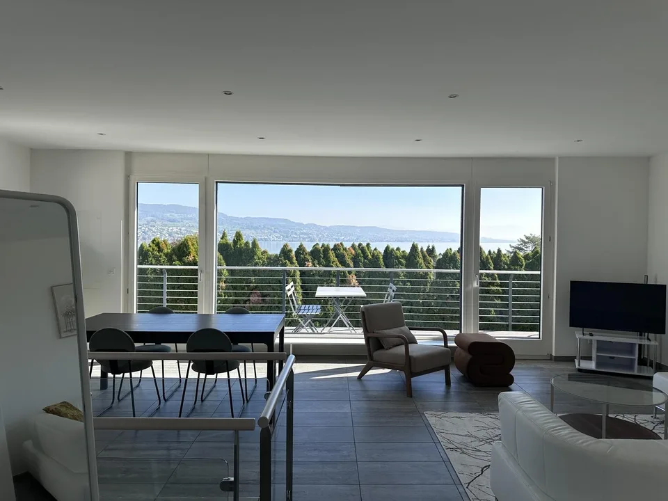 Beautiful Furnished Private Apartment in Thalwil (limited till 31.12.2027) – Foto 2 von 23