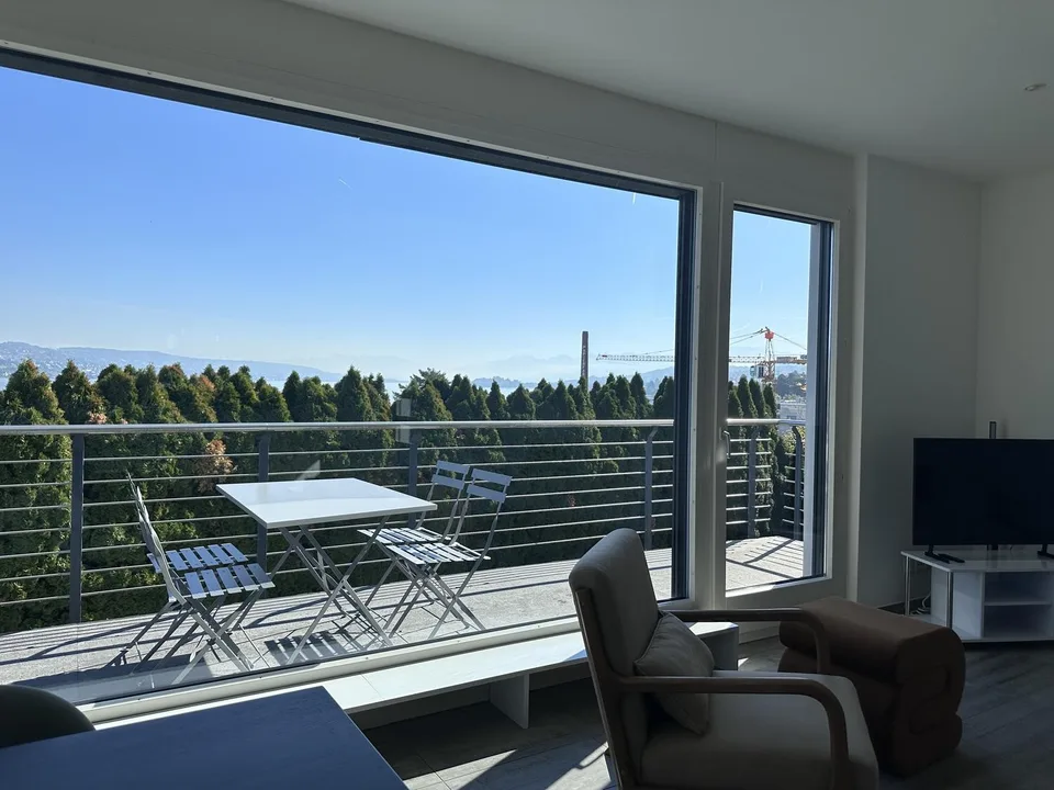 Beautiful Furnished Private Apartment in Thalwil (limited till 31.12.2027) – Foto 6 von 23