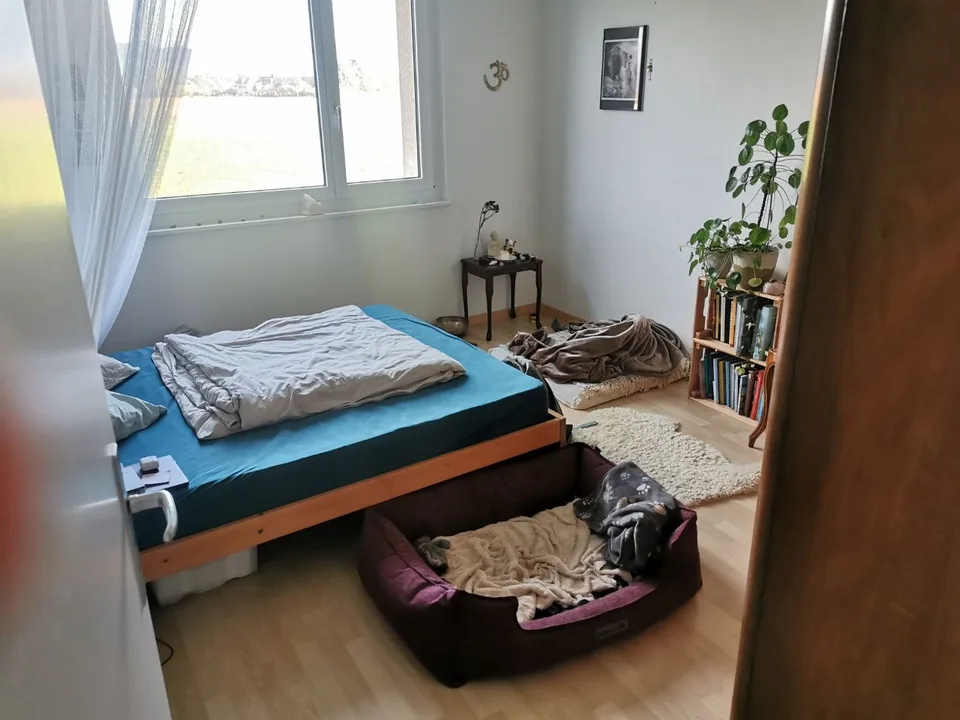 günstige, schöne 4-Zimmer Wohnung mit toller Aussicht – Foto 11 von 17