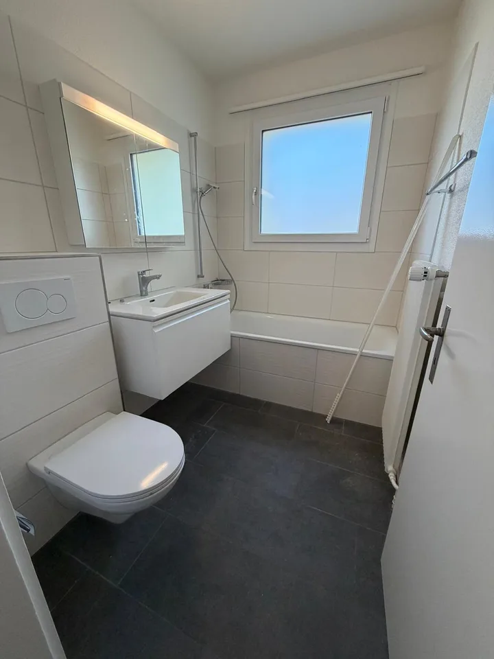 Emménager et se sentir chez soi dans cet appartement de 3 pièces fraîchement rénové avec 2 balcons – photo 8 sur 9