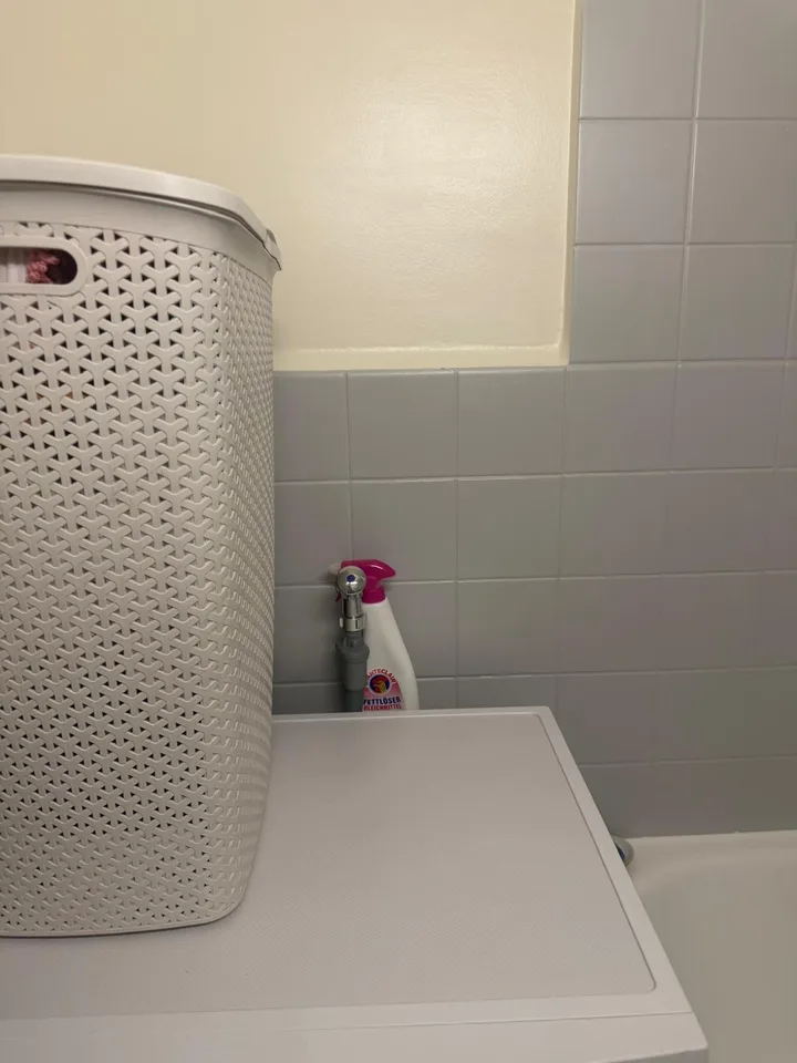 Veyrier | 3 pièces rénové avec balcon – Foto 6 von 10