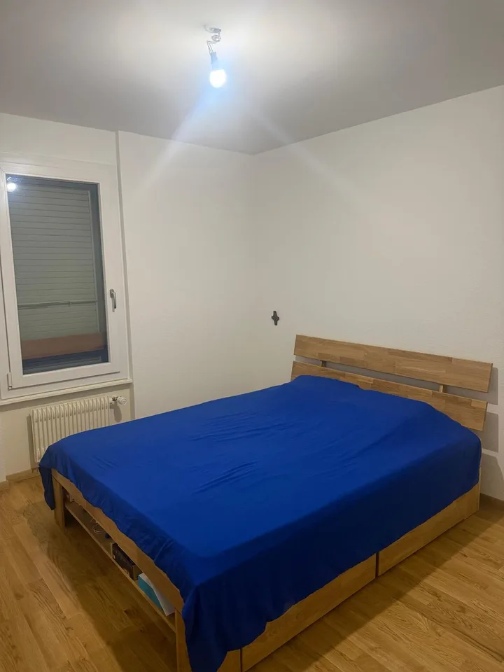Veyrier | 3 pièces rénové avec balcon – Foto 4 von 10
