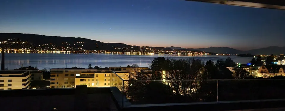 Atemberaubende Seeblick & Bergblick moderne Wohnung in Horgen – Foto 9 von 9