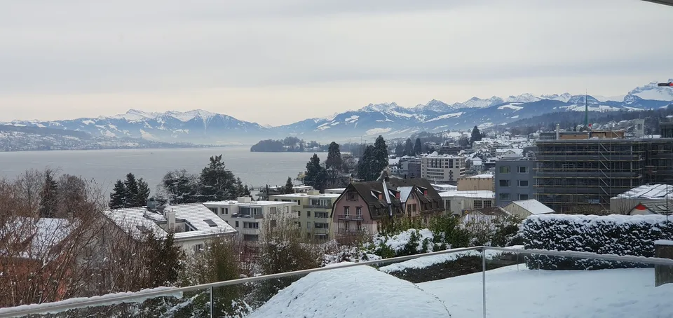 Atemberaubende Seeblick & Bergblick moderne Wohnung in Horgen – Foto 2 von 9
