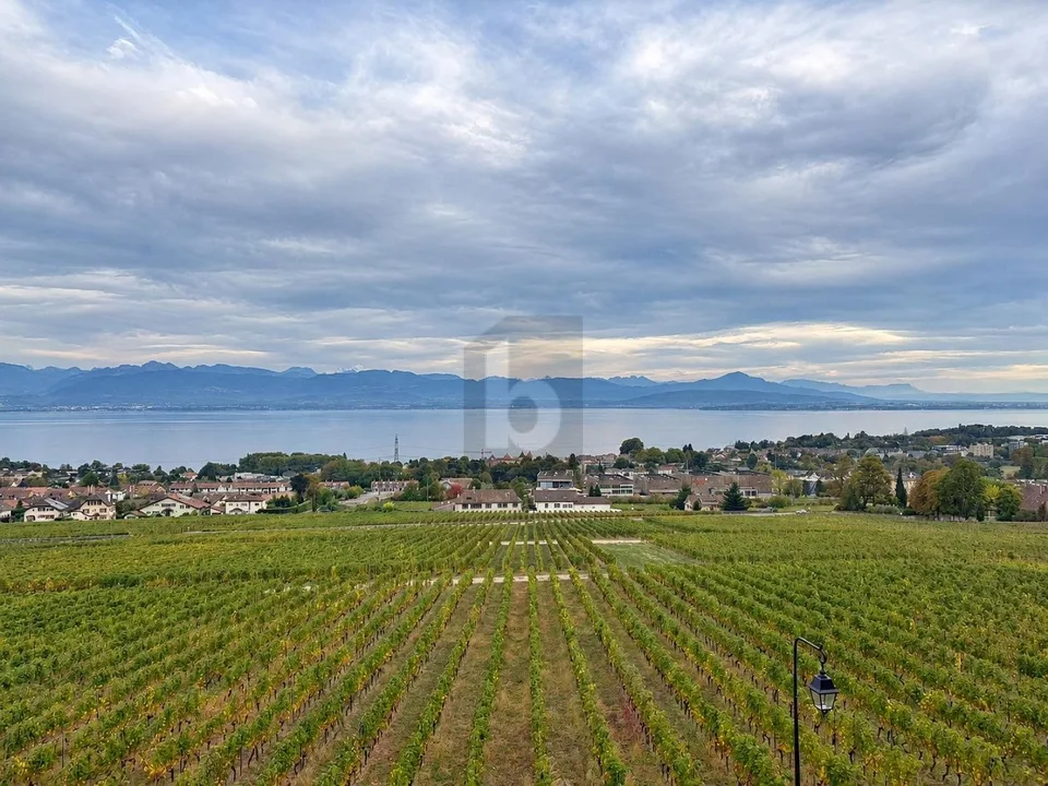 MIT PANORAMABLICK AUF DEN GENFERSEE – Foto 2 von 4