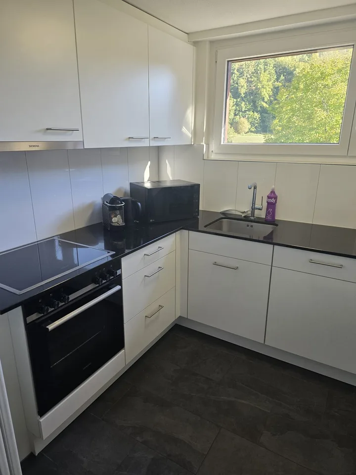 2 Zimmer Dachwohnung – Foto 9 von 10
