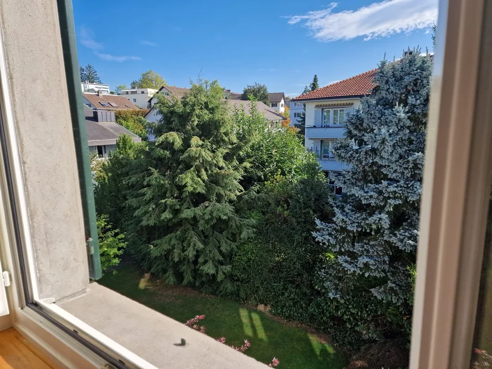3.5-Zimmer Wohnung in gepflegter Altliegenschaft (1. OG, 76m2, Renovation 2022) – photo 7 sur 10