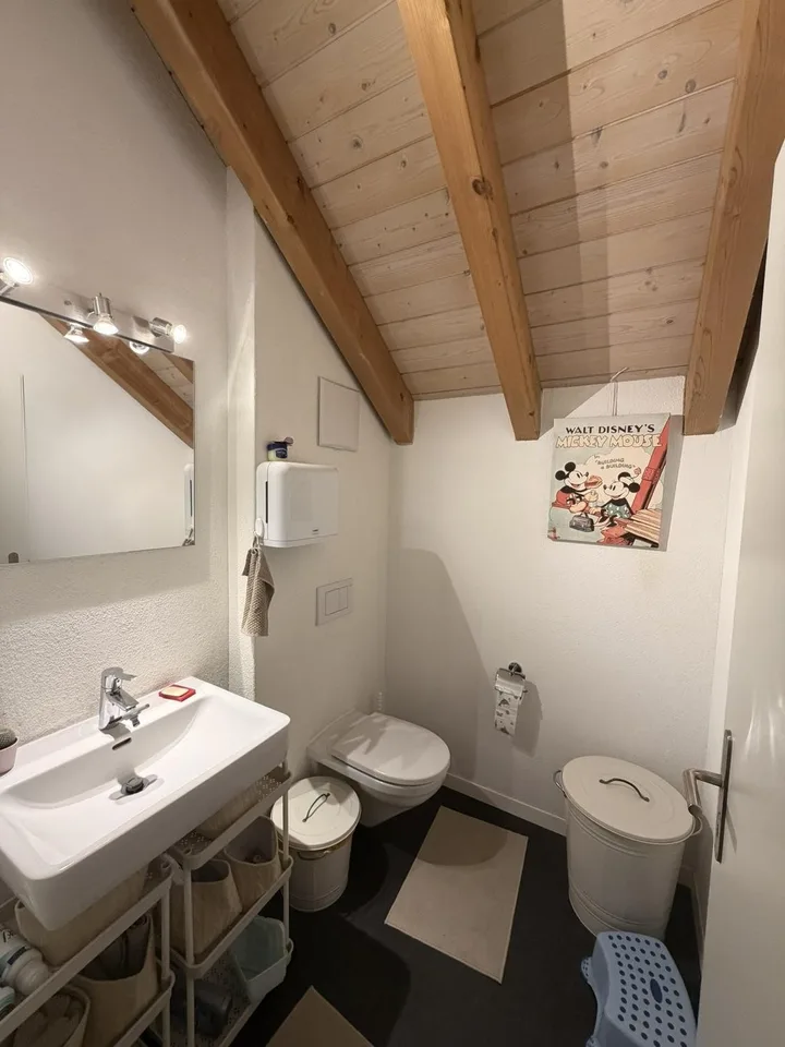 Moderne Wohnung mit zusätzlichem Dachgeschoss - Nähe Rotsee – Foto 17 von 19