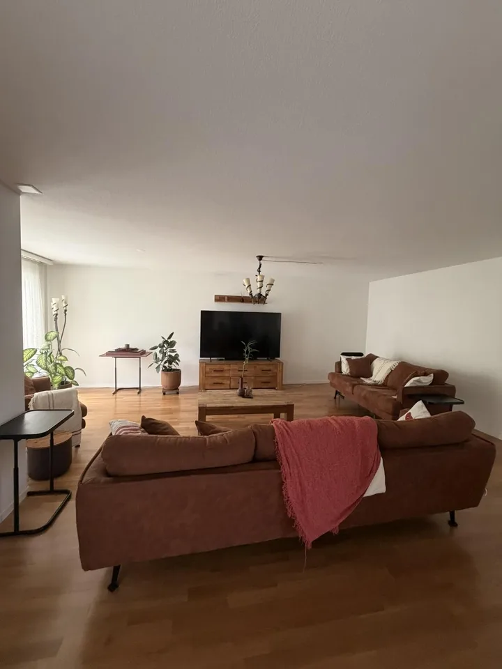Moderne Wohnung mit zusätzlichem Dachgeschoss - Nähe Rotsee – Foto 5 von 19