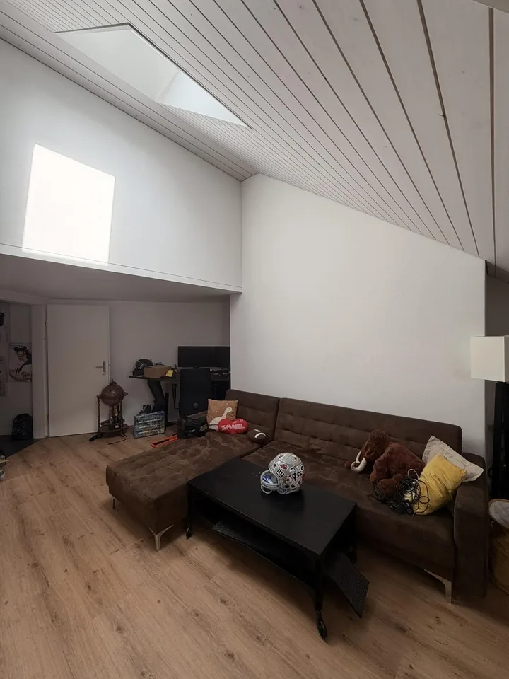 Moderne Wohnung mit zusätzlichem Dachgeschoss - Nähe Rotsee – Foto 16 von 19