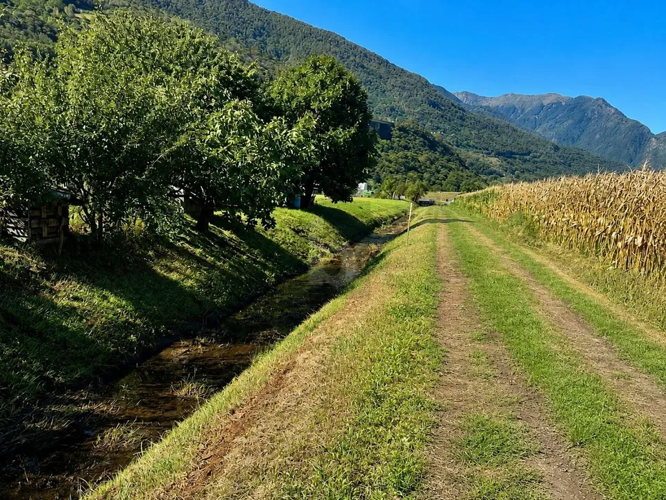 AMPIO IN POSIZIONE SOLEGGIATA E STRATEGICA – foto 3 di 3