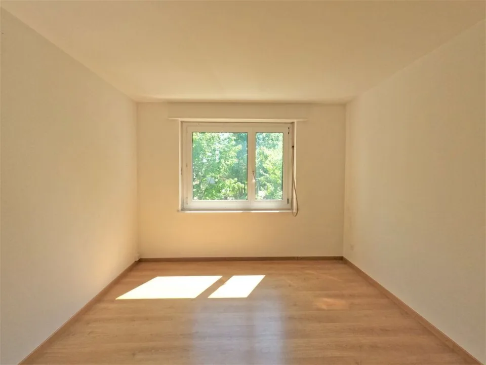 #verliebtinschaffhausen - wundervolle Wohnung mit neuer Küche, neuem Bad und sonnigem Balkon – foto 6 di 10