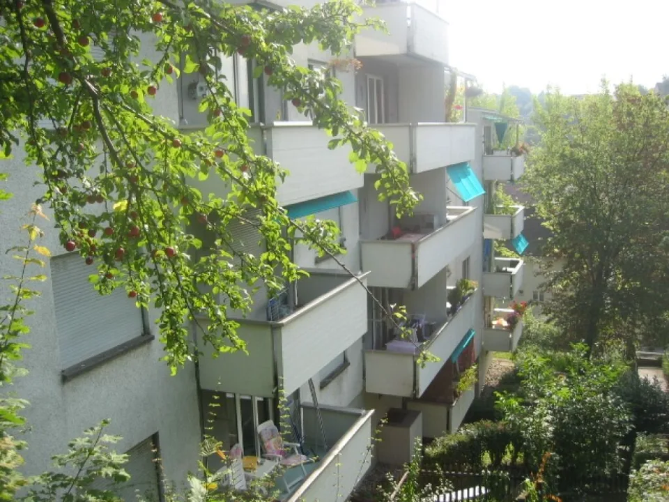 #verliebtinschaffhausen - wundervolle Wohnung mit neuer Küche, neuem Bad und sonnigem Balkon – foto 10 di 10