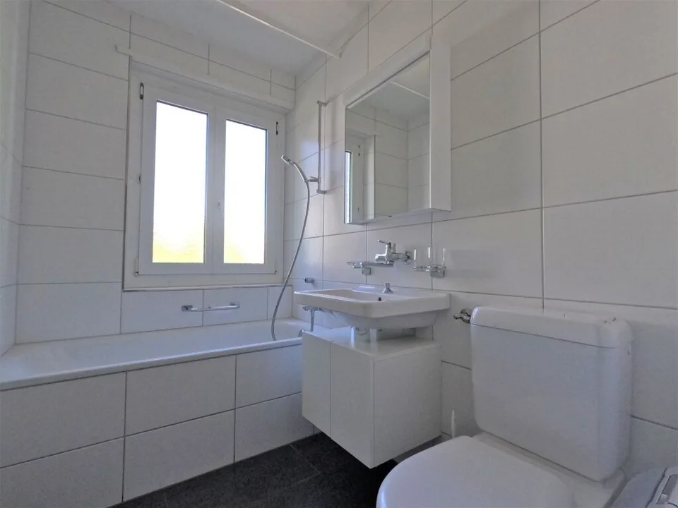 #verliebtinschaffhausen - wundervolle Wohnung mit neuer Küche, neuem Bad und sonnigem Balkon – foto 3 di 10