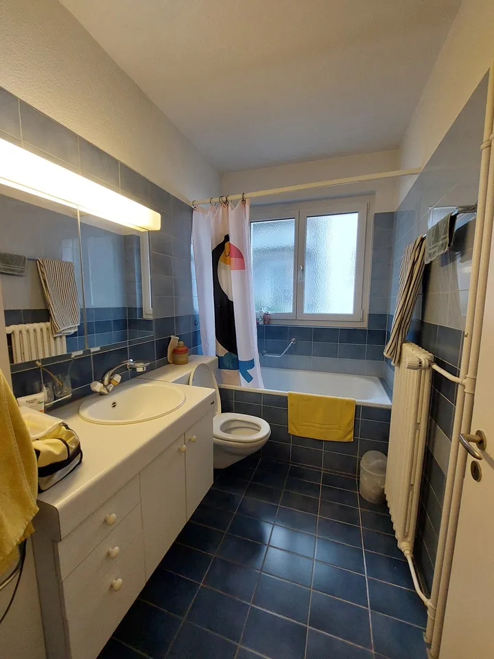 4.5-Zimmer-Dachwohnung mit grosser Terrasse an zentraler Lage – photo 6 sur 6