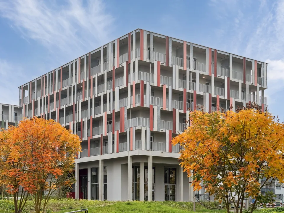 Design-Apartments im Lisbon-Style – Direkt am Bahnhof Muttenz – Foto 10 von 11