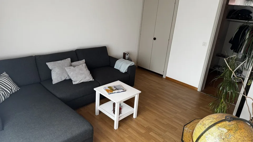 2½ ZI-WOHNUNG IN THUN (BE), MÖBLIERT, TEMPORÄR – foto 2 di 10