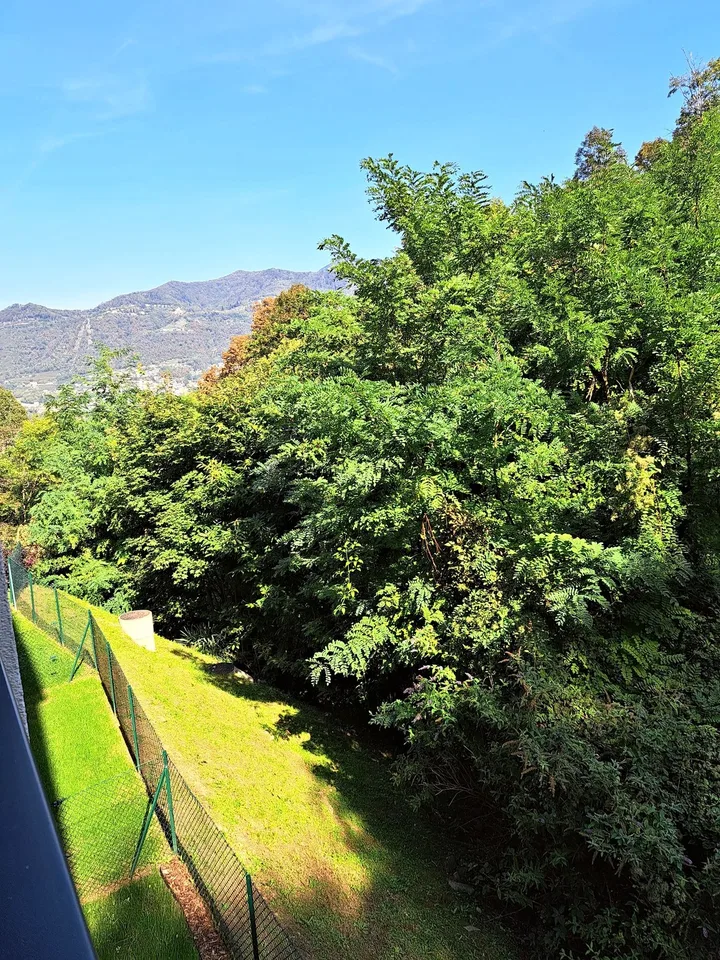 2.5 locali con terrazza coperta nel verde e box auto – Pedrinate – Foto 8 von 11