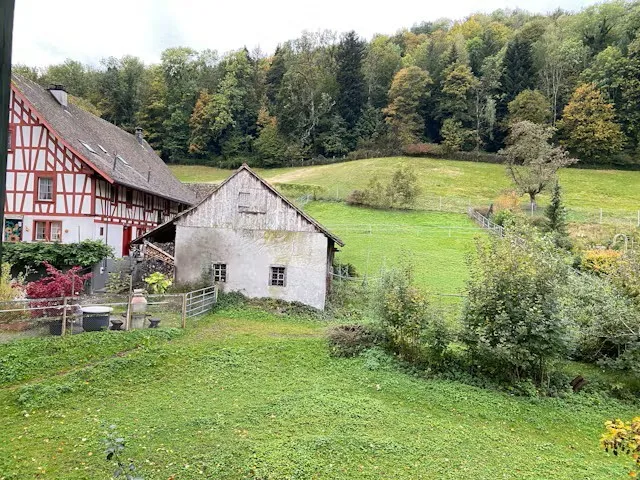 🌟 Appartement meublé de 2,5 pièces à Langnau am Albis – photo 10 sur 10