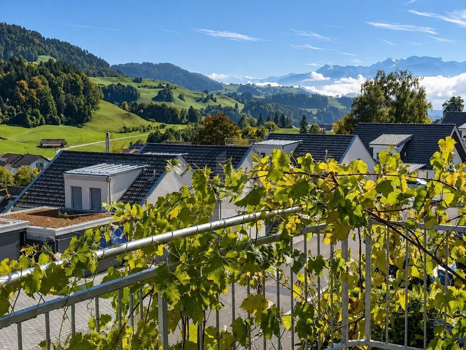 PANORAMASICHT MIT VIEL PLATZ UND FLEXIBLER NUTZUNG – foto 2 di 4
