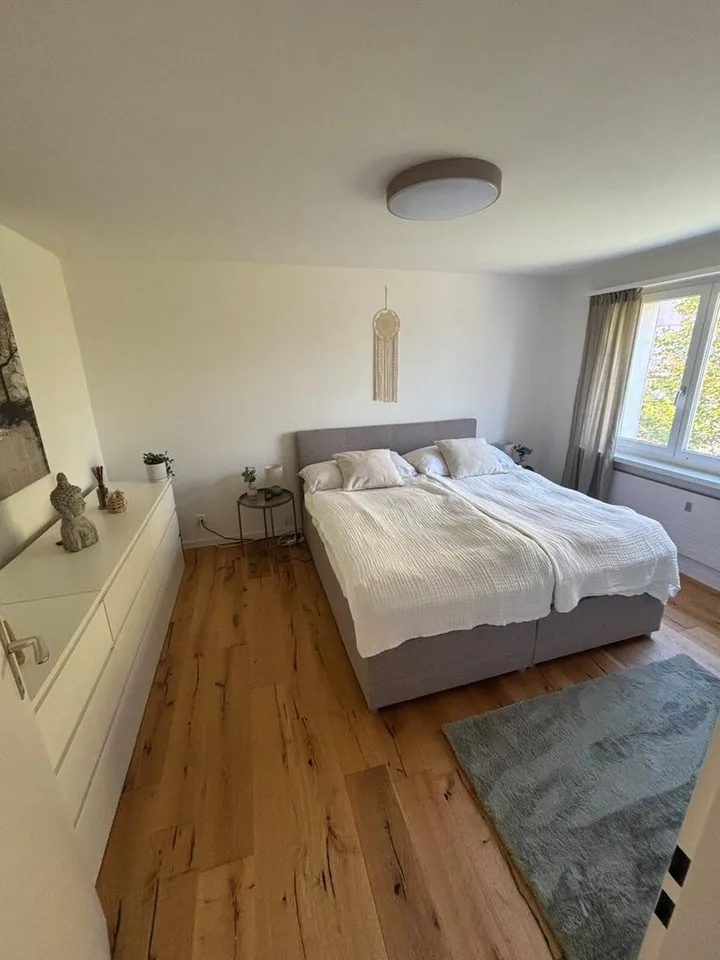 Ampio appartamento di 4.5 locali in una posizione eccellente e tranquilla! – foto 5 di 12
