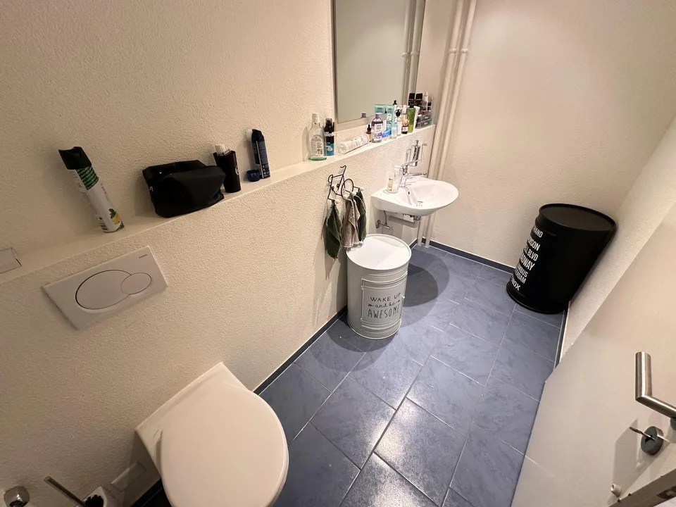 Private furnished bedroom to rent in Zumikon near Zürich – Foto 13 von 13