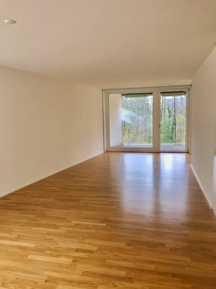 Vivere con vista sulla Limmat! – foto 3 di 6