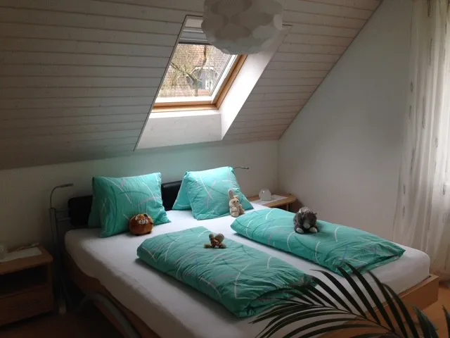 Charmantes freistehendes 4.5 Zimmer Einfamilienhaus mit grossem Garten – foto 9 di 11