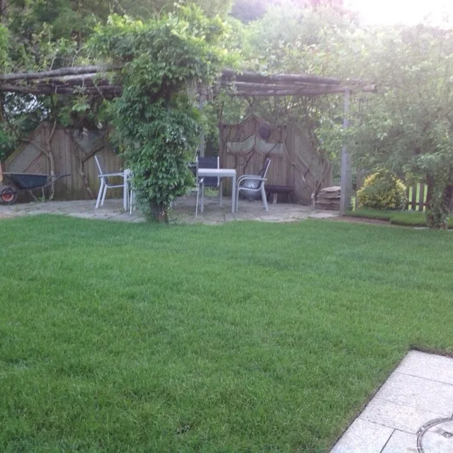 Charmantes freistehendes 4.5 Zimmer Einfamilienhaus mit grossem Garten – foto 6 di 11