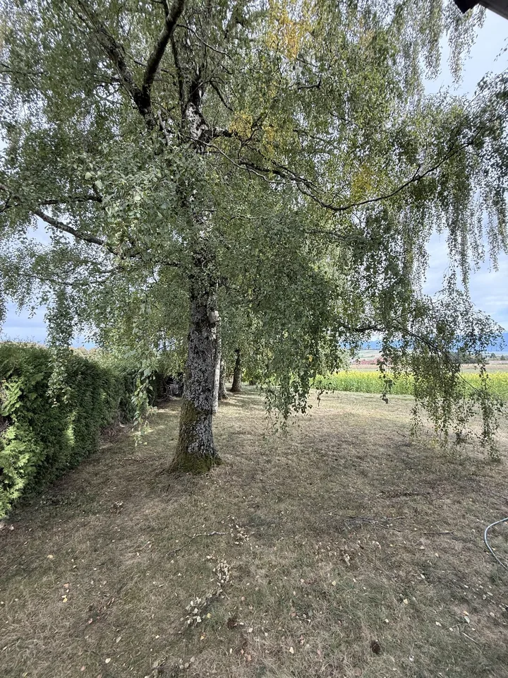 Le Vaud, Villa individuelle avec vue lac et Alpes, proche Nyon et Gland – foto 11 di 12