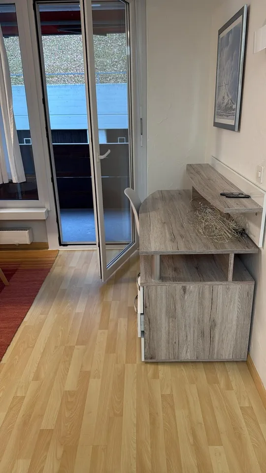 1 Zimmer-Wohnung in Filzbach mieten – Foto 4 von 8