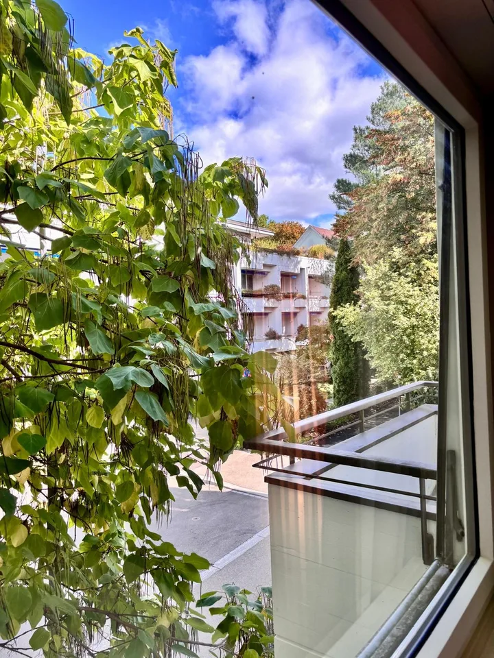 Möblierte 1-Zimmer-Wohnung am Zürichberg – Foto 11 von 12