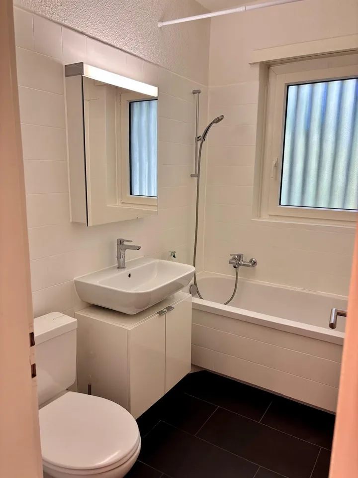 Möblierte 1-Zimmer-Wohnung am Zürichberg – Foto 9 von 12