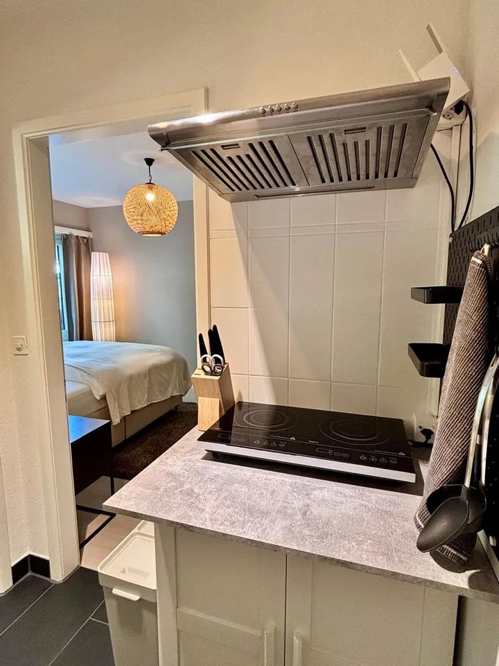 Möblierte 1-Zimmer-Wohnung am Zürichberg – Foto 5 von 12