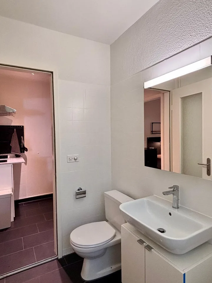 Möblierte 1-Zimmer-Wohnung am Zürichberg – Foto 10 von 12