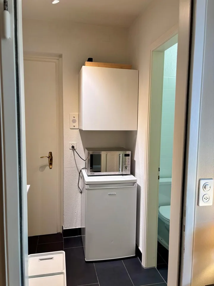Möblierte 1-Zimmer-Wohnung am Zürichberg – Foto 8 von 12