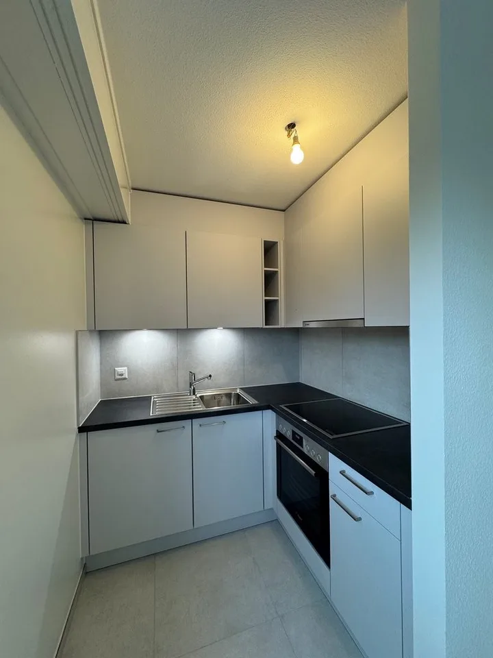 Magnifique 2.5 pièces au 2ème étage de 54 m2 rénové – foto 3 di 9