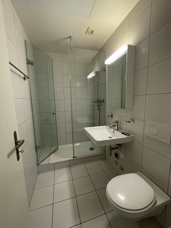 BOUCHET - 4,5 Zimmer mit Terrasse – Foto 7 von 8