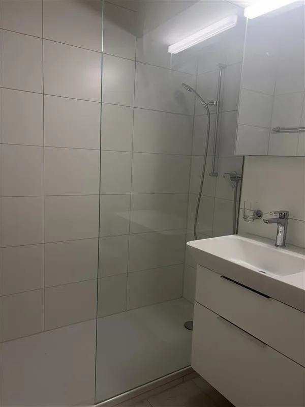 Grosszügige 3-Zimmerwohnung mit Aussicht über Reinach – Foto 8 von 8