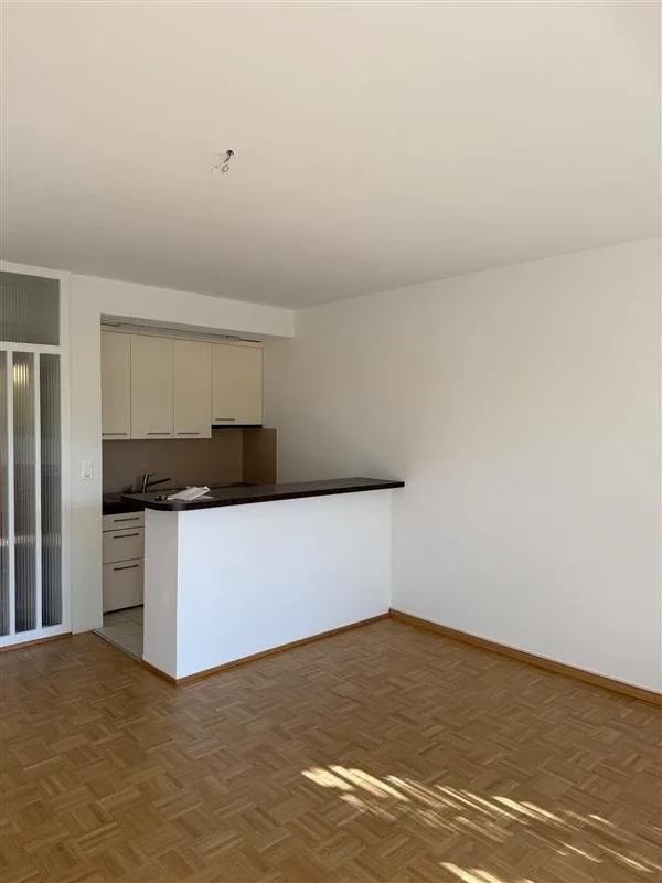Appartamento di 3.5 locali con balcone direttamente sul Reno – foto 2 di 5