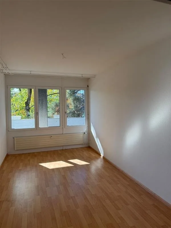 Appartamento di 3.5 locali con balcone direttamente sul Reno – foto 3 di 5