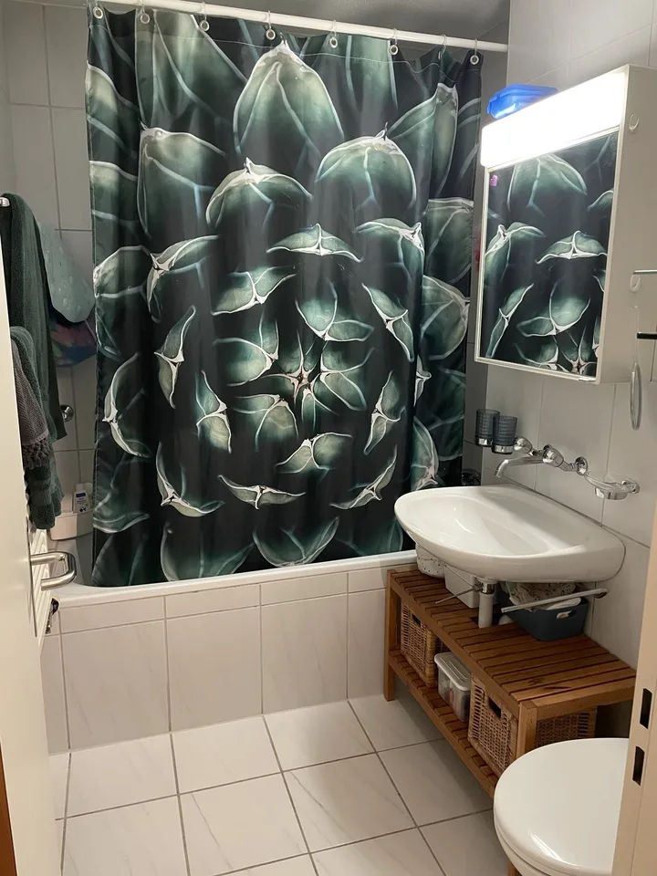 3½ ZI-WOHNUNG IN LUZERN, MÖBLIERT, TEMPORÄR – foto 6 di 9