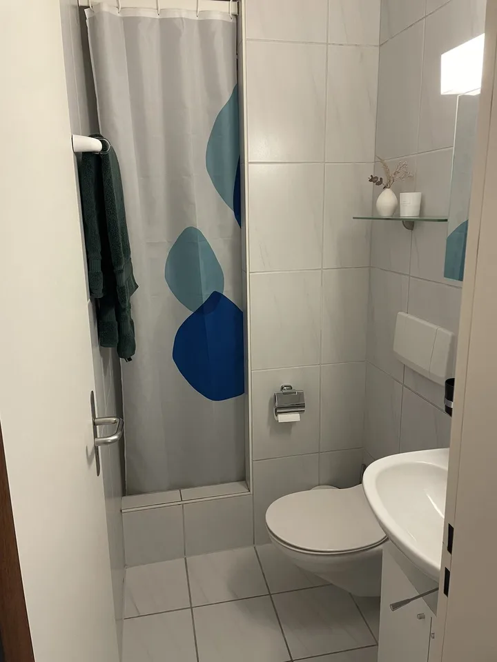 3½ ZI-WOHNUNG IN LUZERN, MÖBLIERT, TEMPORÄR – foto 7 di 9
