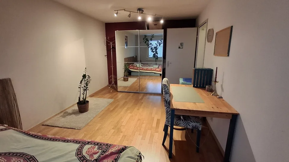 2 ZI-WOHNUNG IN LUZERN, MÖBLIERT, TEMPORÄR – foto 4 di 8