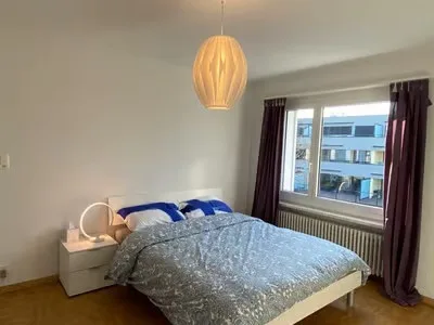 🏡 Furnished 2.5-Room Apartment with Private Balcony in Dübendorf – 8600 – photo 4 of 14