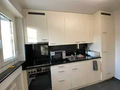 🏡 Furnished 2.5-Room Apartment with Private Balcony in Dübendorf – 8600 – photo 9 of 14