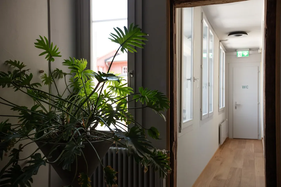 Exklusive Bürofläche mit historischem Charme – Foto 4 von 9