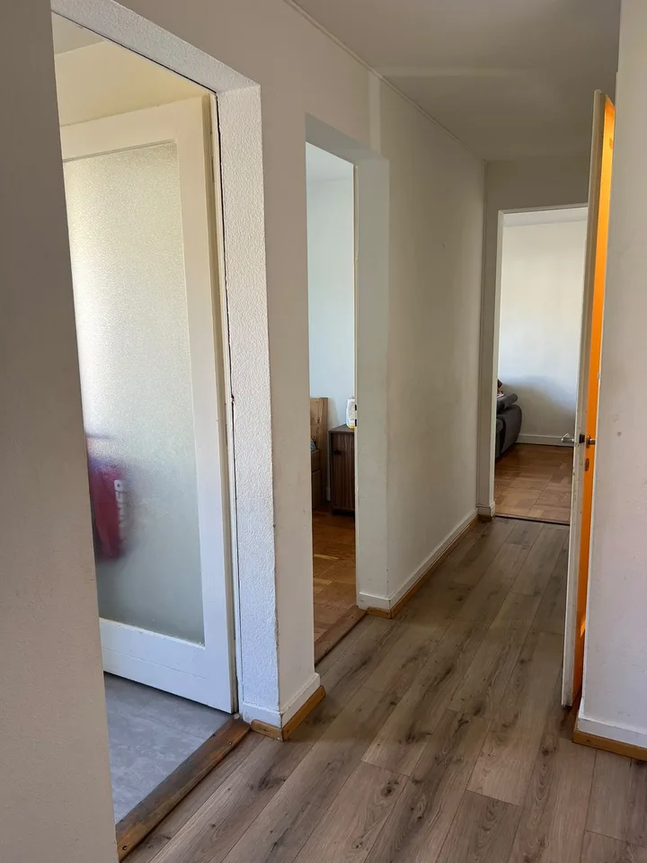 À louer – Appartement de 3,5 pièces à Chêne-Bourg – 61 m² – photo 2 sur 5